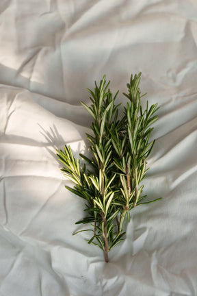 Handseife NO. 5 | EMBRACE